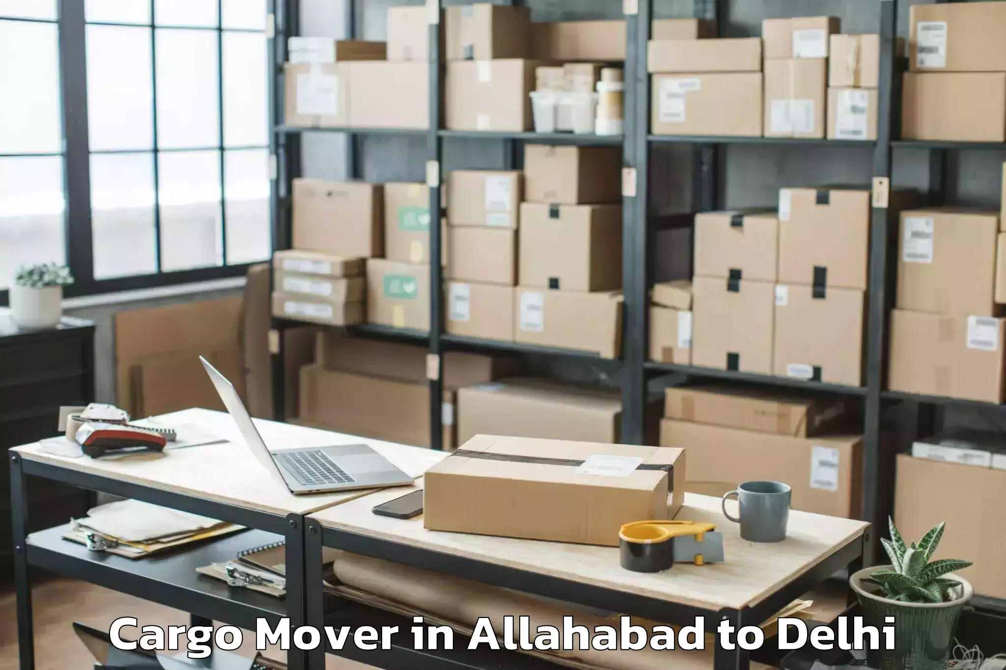 Reliable Allahabad to Unity One Mall Rohini Cargo Mover